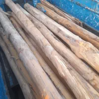 خریدار چوب کار و زغالی|خدمات باغبانی و درختکاری|سمیرم, |دیوار