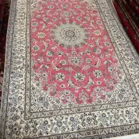 ۶ متری تک نایین گل ابریشم