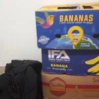 یک نفرخانم حسابدار،ویک نفر نظافت وآشپزی وتمیزی