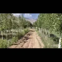 زمین 2 هکتار فریدن