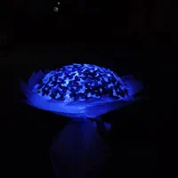 دسته گل پروانه