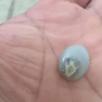 جواهری|جواهرات|زابل, |دیوار