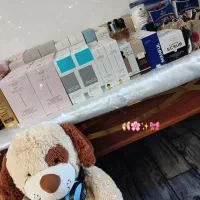 تخفیفات ویژه بلک فرایدی لُپگُلی کـازمِتیک|آرایشی، بهداشتی، درمانی|سلفچگان, |دیوار