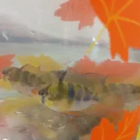 رامیزی مولد|ماهی|رباطکریم, نصیرشهر|دیوار