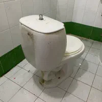 توالت فرنگی نیاز به تعمیر|لوازم سرویس بهداشتی|سمنان, |دیوار