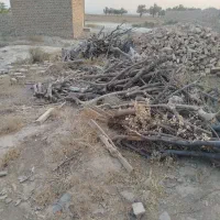 چوب برای ذغال|عمده‌فروشی|اسحاق آباد, |دیوار