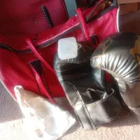 دستکش بوکس برندVENUMبا ساک و لسته وبیضه بند