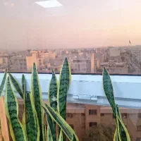 استخدام پرسشگر