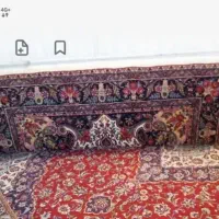 دارقالی|گلیم، جاجیم، گبه|همدان, |دیوار