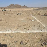 زرشک