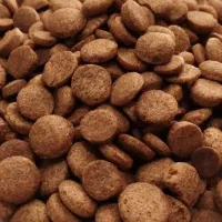 فروش غذای حیوانات