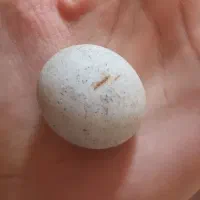 سنگ الماس آسیاب