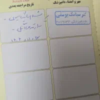 سگ پودل|سگ|رزن, |دیوار