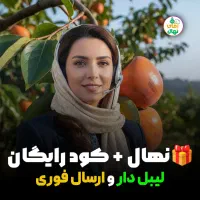 فروش نهال خرمالو موزی ارسال مستقیم از نهالستان