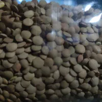 حبوبات|خوردنی و آشامیدنی|رشت, گیل|دیوار