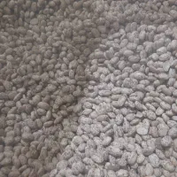 محصولات محلی|خوردنی و آشامیدنی|اهواز, شهدای انتظامی|دیوار