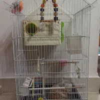 قفس بزرگ پرنده