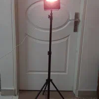 پروژکتور رشد گیاه