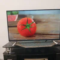 ال ای دی ۴۳ با ۲۱ ماه گارانتی|تلویزیون و پروژکتور|نیشابور, شهرک جانبازان|دیوار