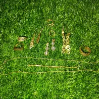 گوشواره . انگشتر .سکه پارسیان .زنجیر و