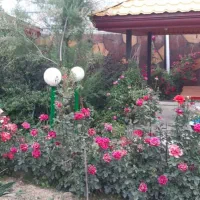 ویلا ۶۰۸متر تنکمان سندار
