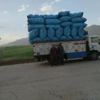 یونجه|لوازم جانبی حیوانات|معصومیه, |دیوار