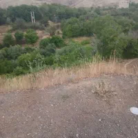 زمین-کشاورزی-در-روستای-سو