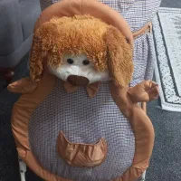 گهواره عروسکی