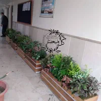 طراح و تزئین درختچه و بوته برگ برای داخل باکس|گل مصنوعی|تهران, بازار|دیوار
