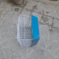 قفس|لوازم جانبی حیوانات|هشتگرد, کوی بهروز|دیوار