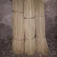 گالی حصیری