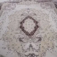 یک جفت فرش کرم سالم