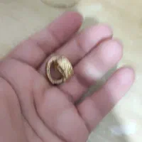 طلای سبک|جواهرات|قدس, شهر‌قدس|دیوار