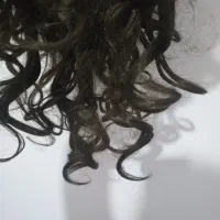 گلاهگیس الیاف بسیار طبیعی|آرایشی، بهداشتی، درمانی|سبزوار, شهرک اندیشه|دیوار