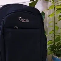 کیف
