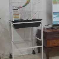 قفس پرنده