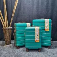 چمدان دلسی پاریس با رنگبندی