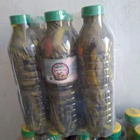 زیتون|خوردنی و آشامیدنی|شیراز, رازی|دیوار