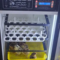 د،ستگاهجو،جه،کشی،هدایت