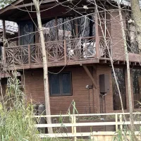 وقتی خانه بوی جنگل می دهد