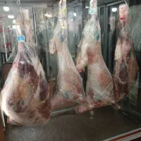 کار گر قصاب جهت کار در فروشگاه و بیخسکار