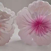 فروش کلیپس و گل سرهای بسیار زیبا و با کیفیت