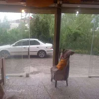 مغازه جهت انبار|اجارهٔ مغازه و غرفه|رشت, سیا اسطلخ|دیوار