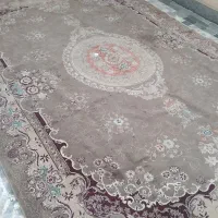 دو عدد فرش ۱۲ متری|فرش|مشهد, هفت تیر (نه دره)|دیوار