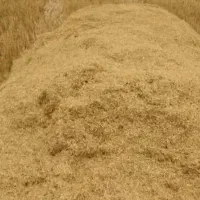 کاه گندم ولوبیا