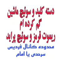 سوئیچ و دزدگیر ماشینو تو کانال گم کردم،ریموت قرمز