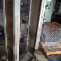 قفس عروس هلندی و قفس دست ساز|لوازم جانبی حیوانات|نسیم‌شهر, |دیوار