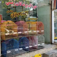 لوازم سرای سهره بازان میاندواب|لوازم جانبی حیوانات|میاندوآب, |دیوار