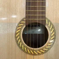 گیتار کلاسیک سلاریوس|گیتار، بیس، امپلیفایر|کرمان, |دیوار
