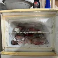 یخچال فریزر|یخچال و فریزر|بوئین زهرا, |دیوار